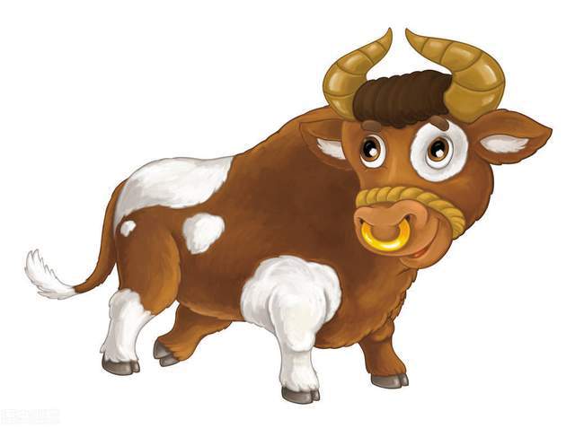 生肖牛相关知识_关于牛生肖的知识_生肖牛的科普